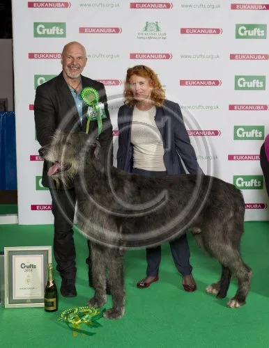 Crufts hound group 2025